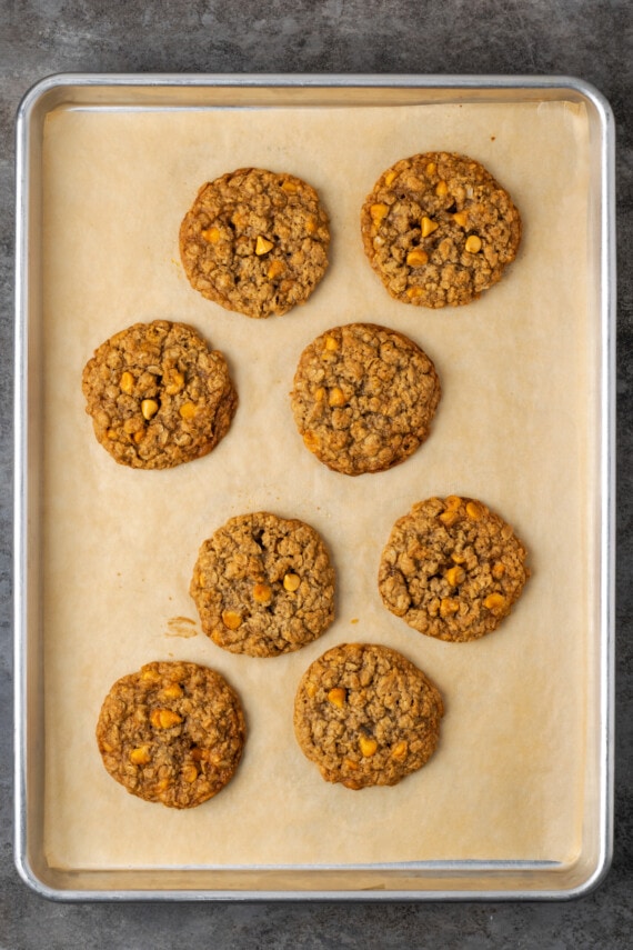 Baked oatmeal butterscotch cookies on a parchment-lined baking sheet.