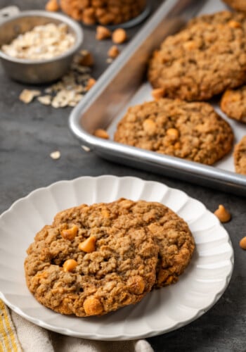 Two oatmeal butterscotch cookies on a white plate, with more cookies on a baking sheet in the background.