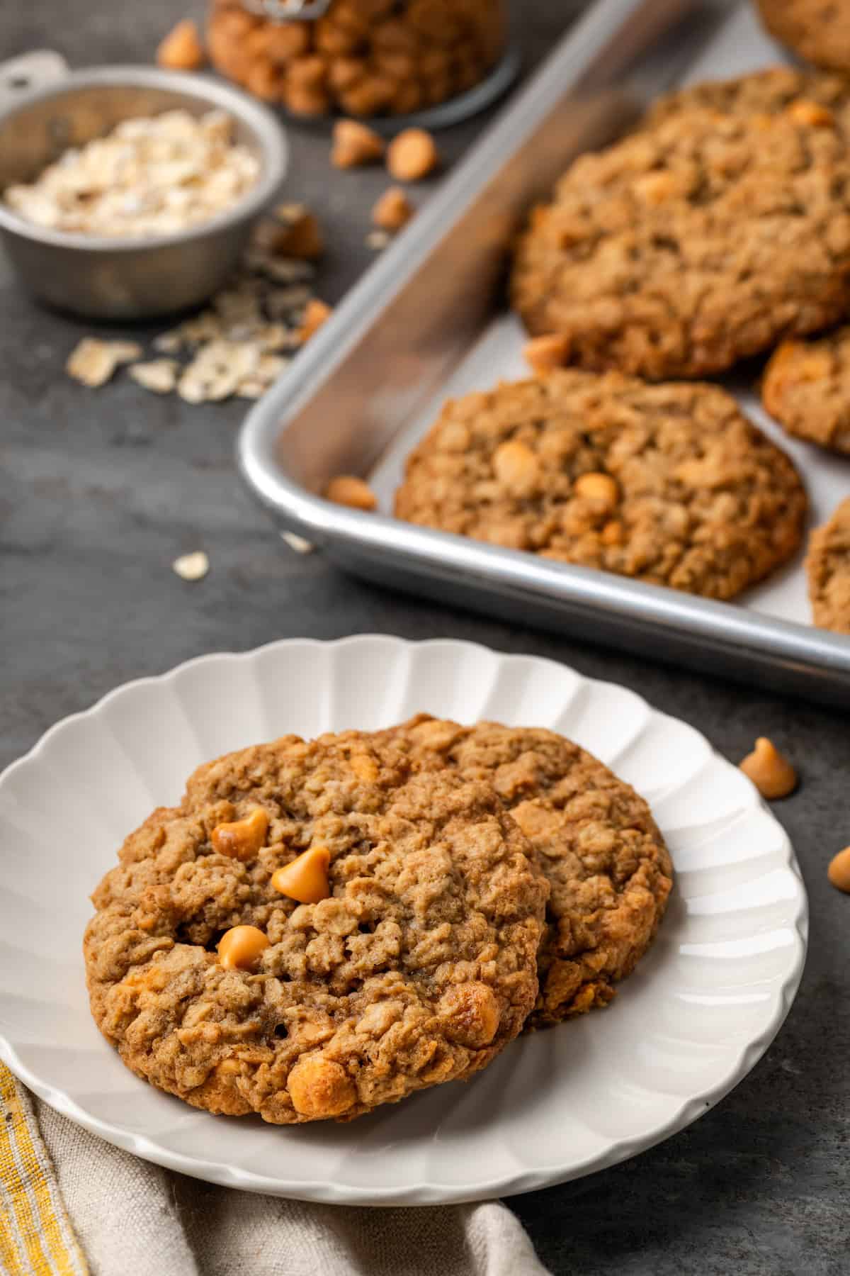 Two oatmeal butterscotch cookies on a white plate, with more cookies on a baking sheet in the background.