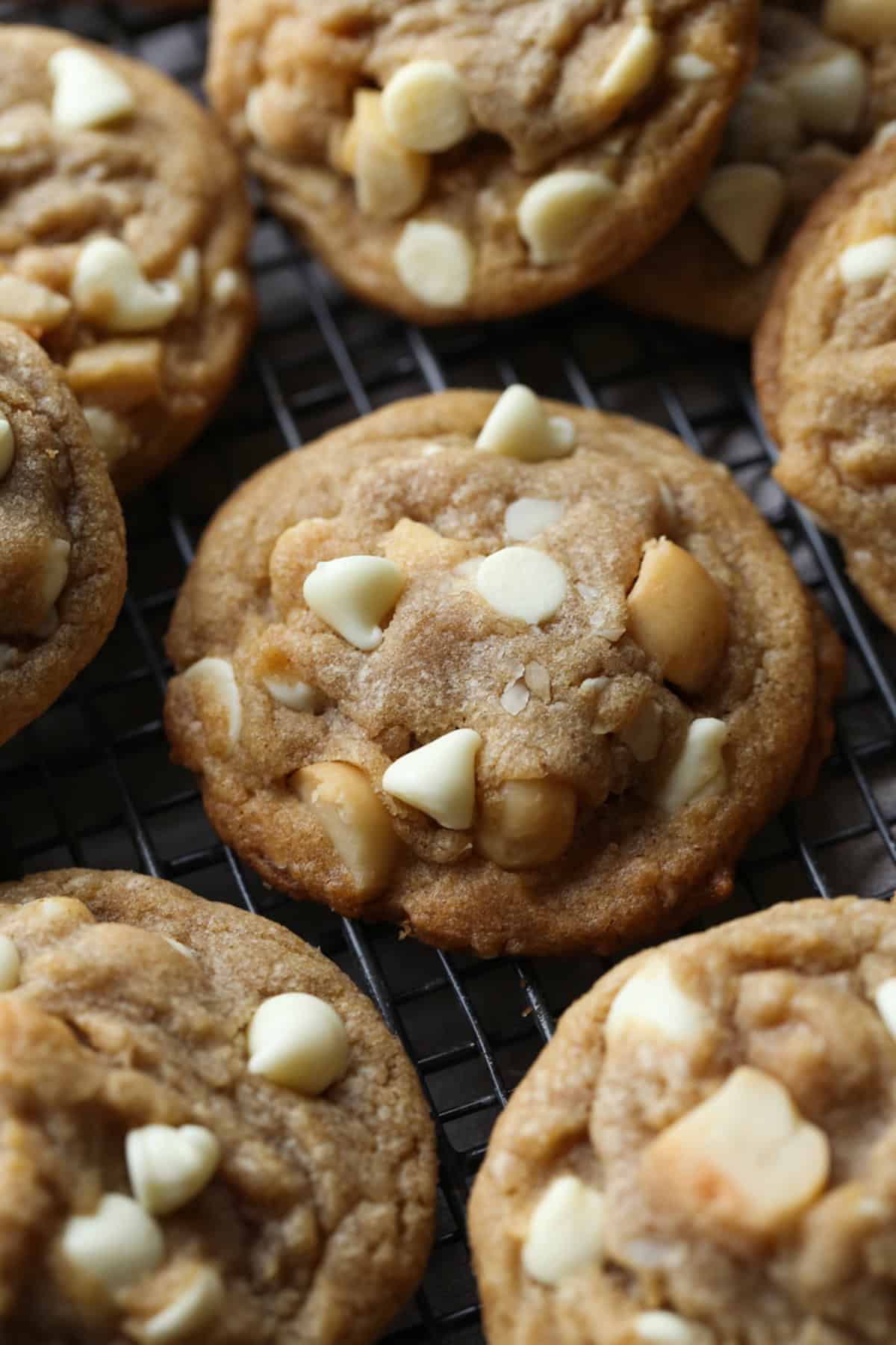 Rock n' Roll - Macadamia Nuts & White Chocolate Chunk Cookies