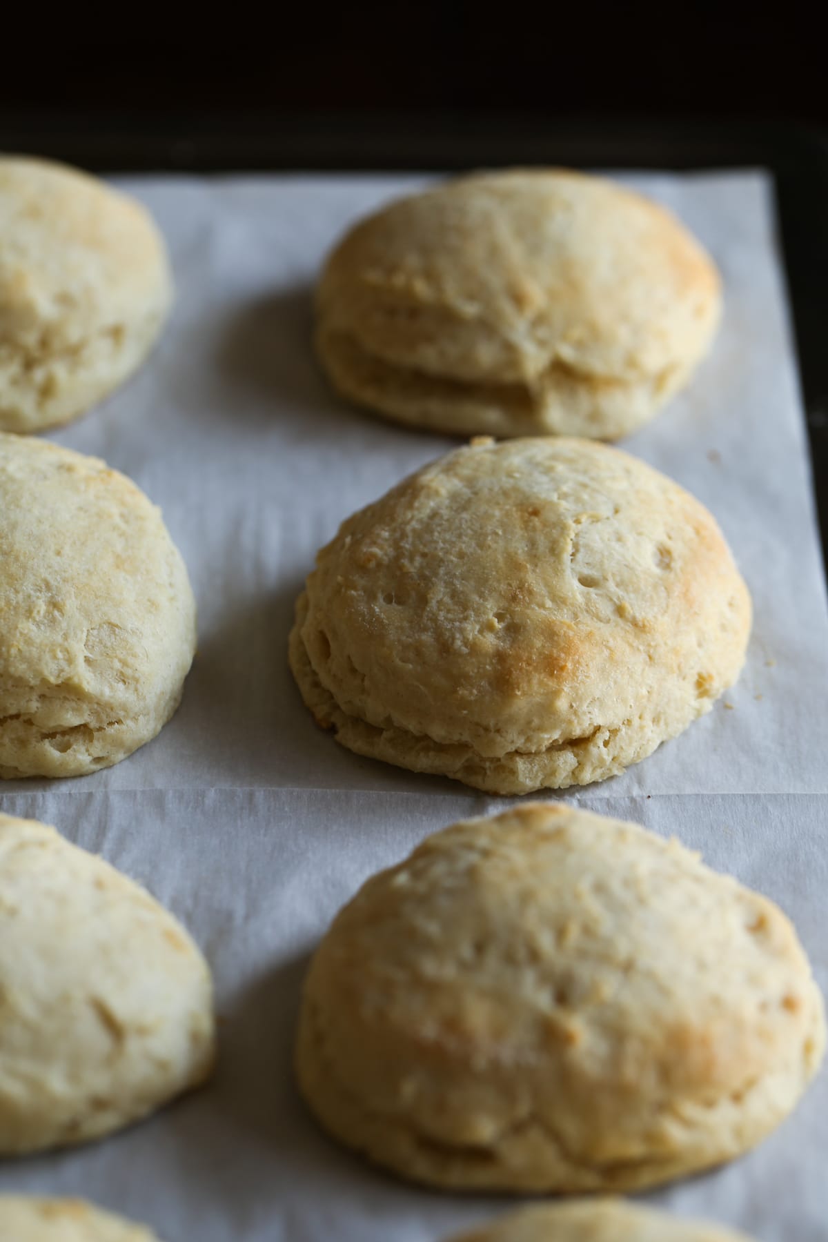 Biscuits right out of the oven on a parchment lined baking sheet