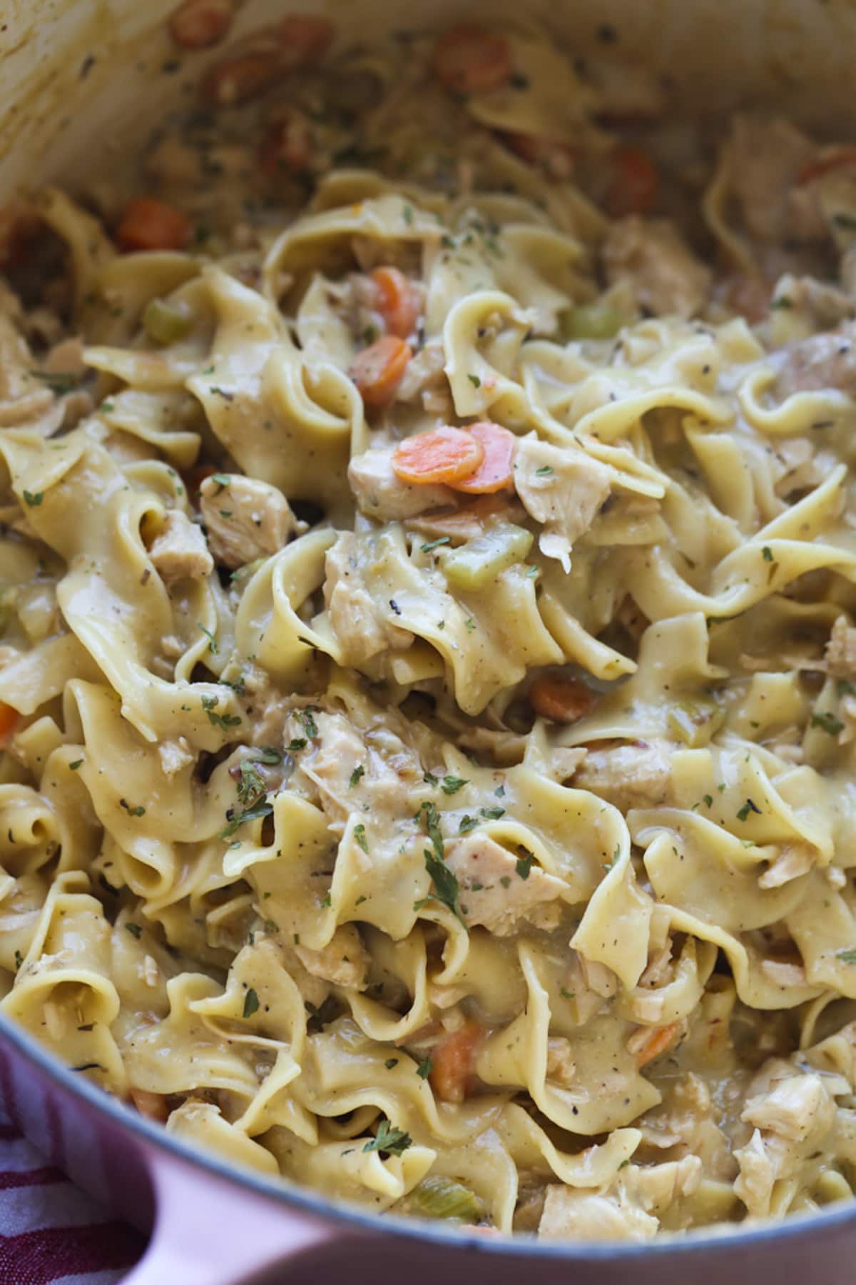 Egg noodles and chicken in a creamy sauce with carrots and seasoning