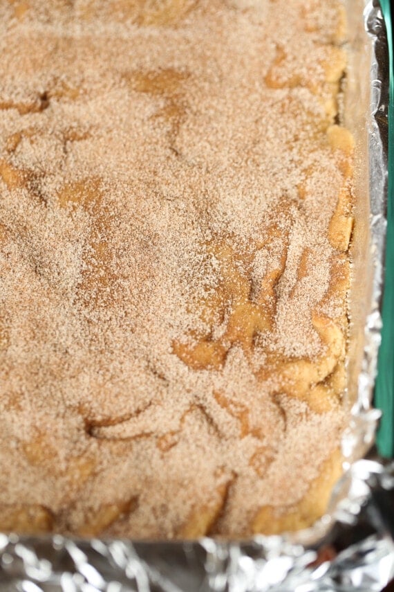 Cookie dough pressed into a 9x13 baking dish topped with cinnamon sugar