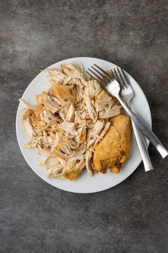 Partially shredded chicken breast on a white plate with two forks.