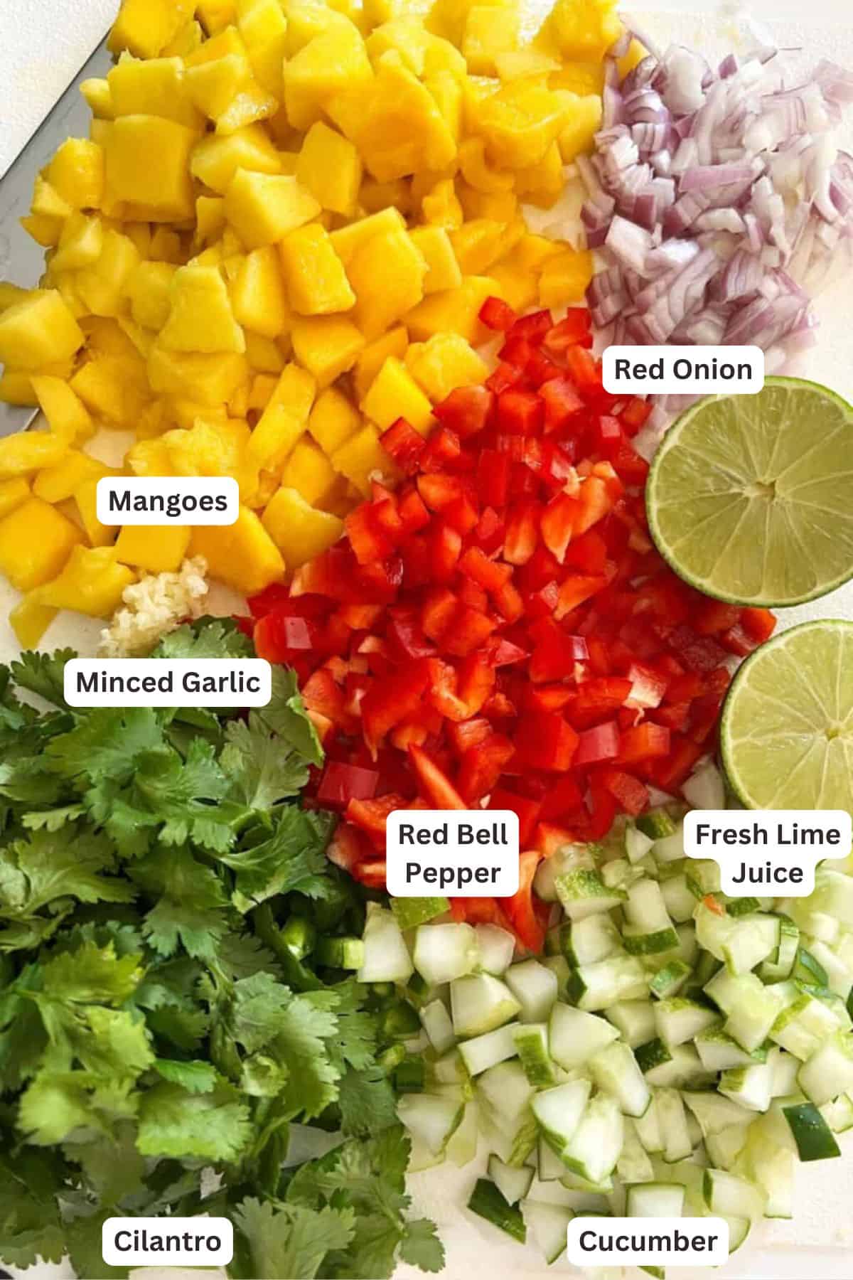 Ingredients for Mango Salsa Recipe (Quick And Easy).