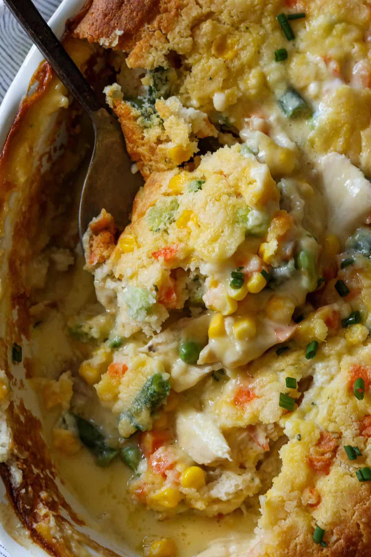 Close up of a scoop of chicken cobbler baked in a oval white baking dish.