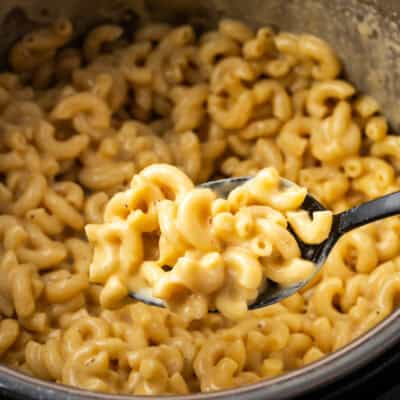 A spoonful of mac and cheese held over the Instant Pot.