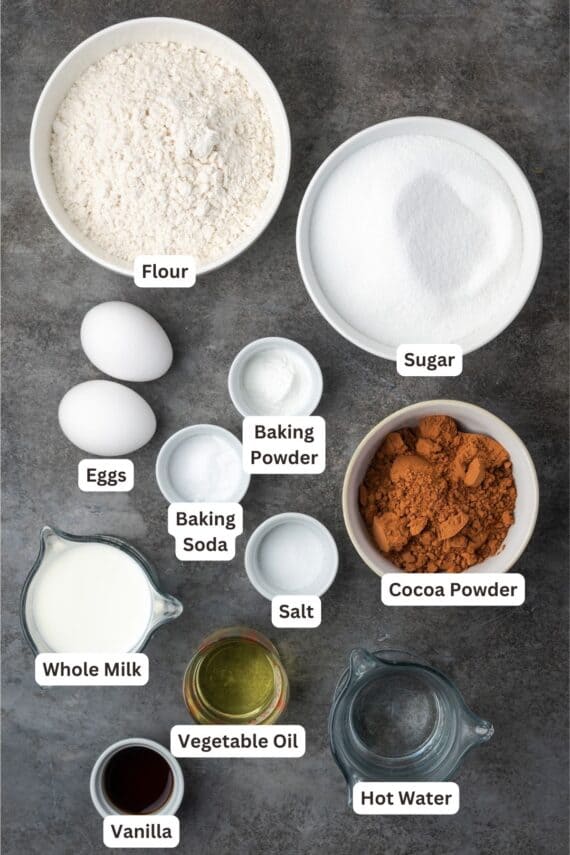 Chocolate hazelnut cake cake ingredients with text labels overlaying each ingredient.