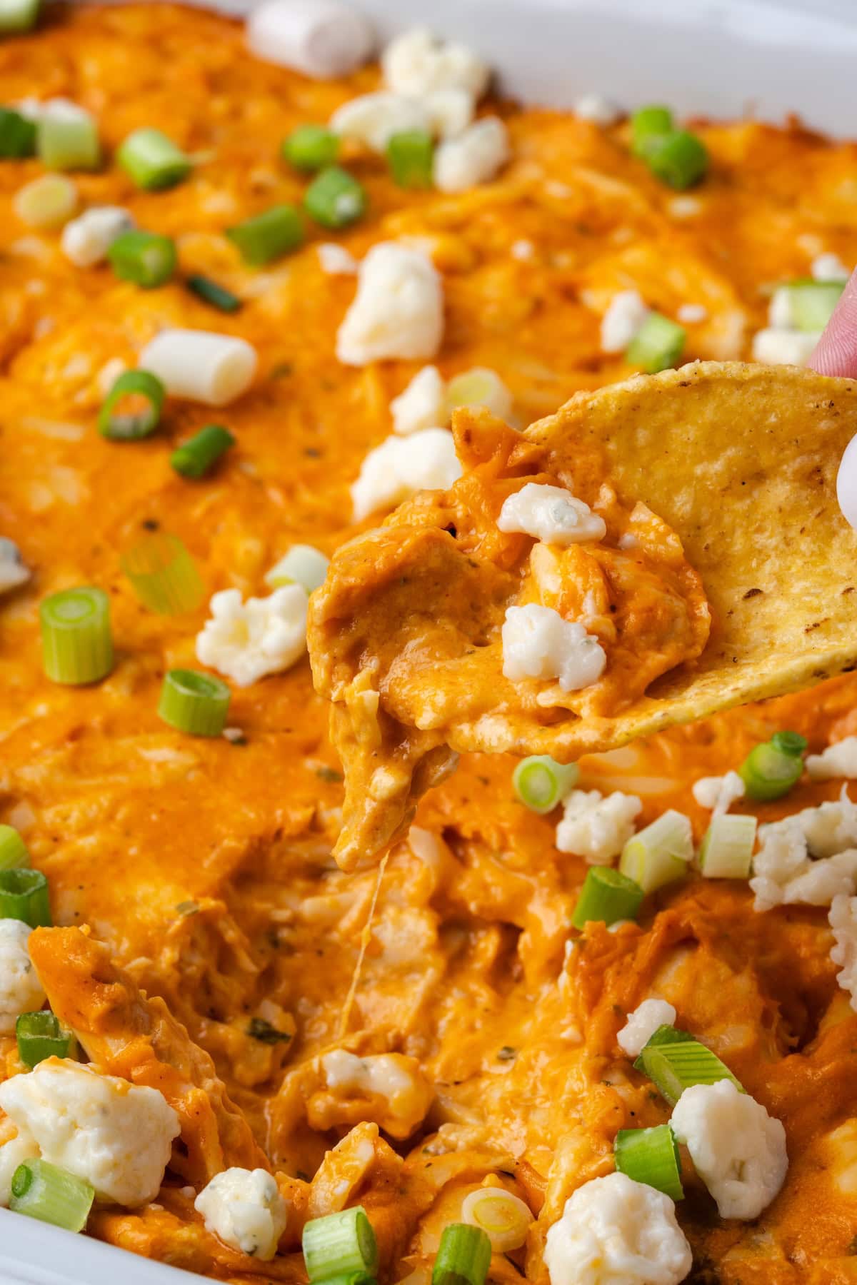 A chip scooping chicken wing dip from a baking dish.