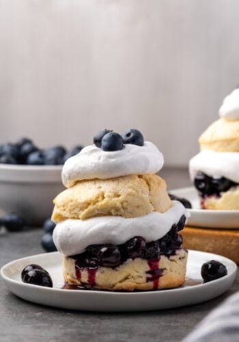 Blueberry shortcake on a plate.