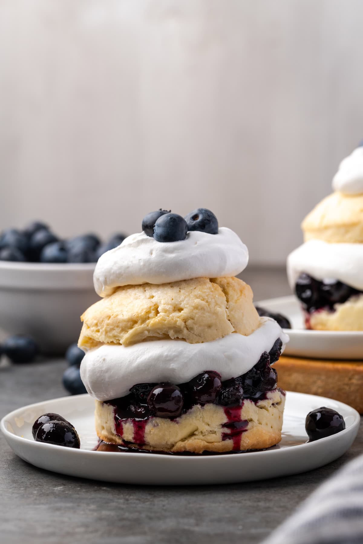 Blueberry shortcake on a plate.