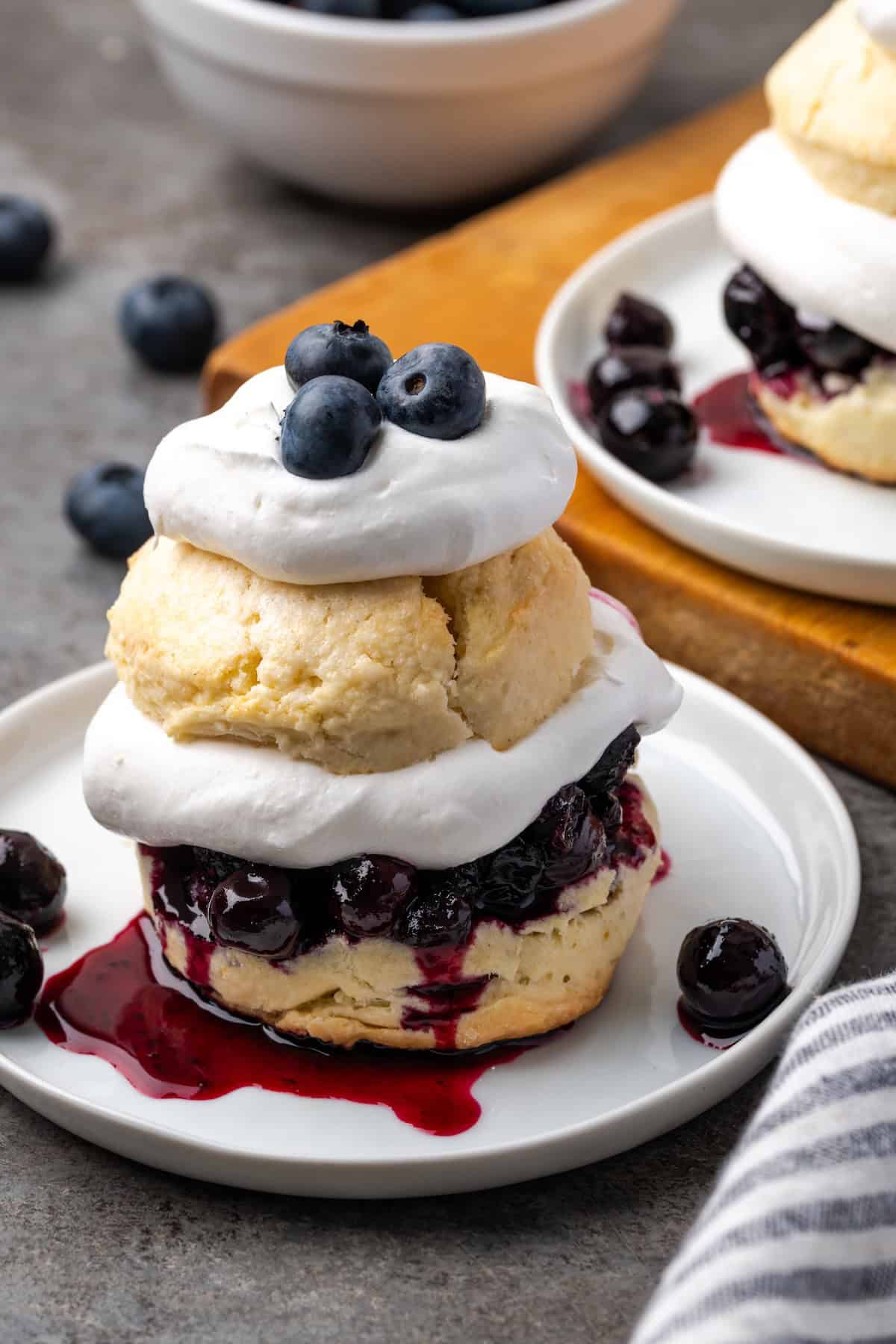 Blueberry shortcake on a plate.