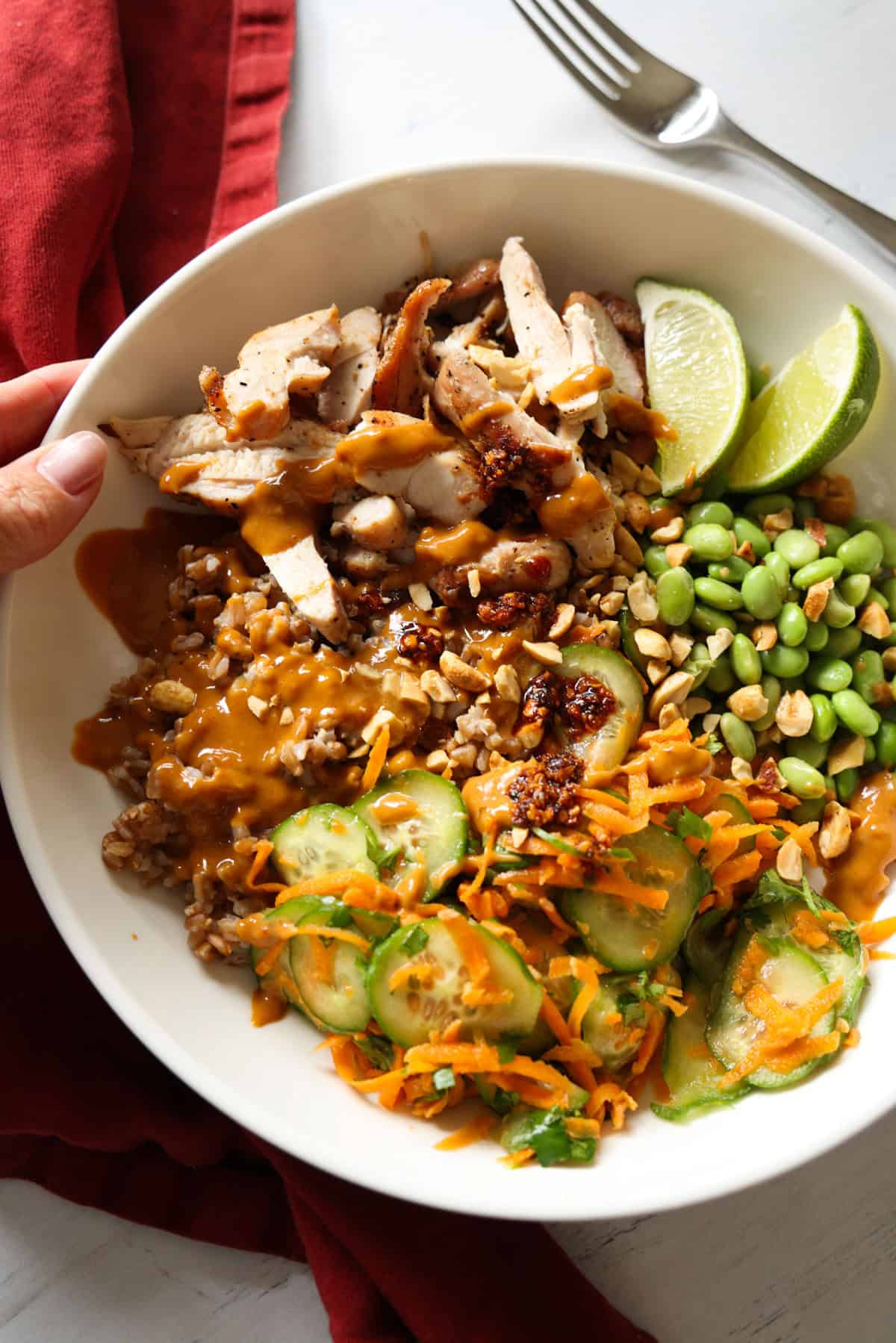 Spicy Peanut Chicken Bowl with edamame and a cucumber salad and chopped peanuts.
